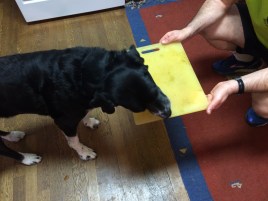 eating off of cutting board