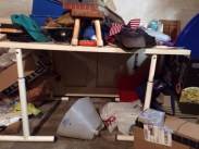 cone of shame in basement