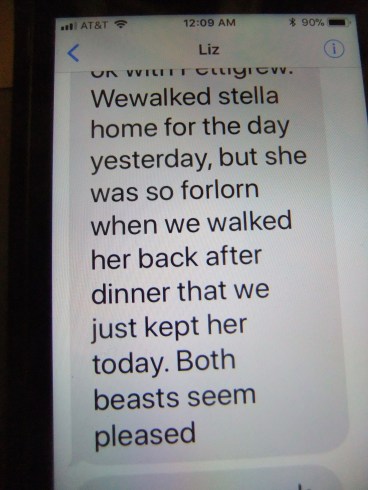 text
