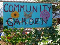 community garden