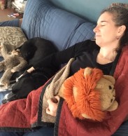 sloth pettigrew lyie me