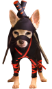 Ninja-Chihuahua.png