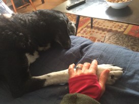 pettigrew and my hand